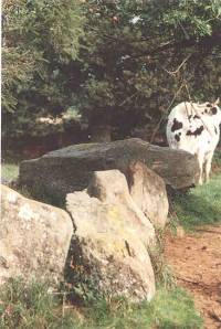 L'allée de la Tardivière